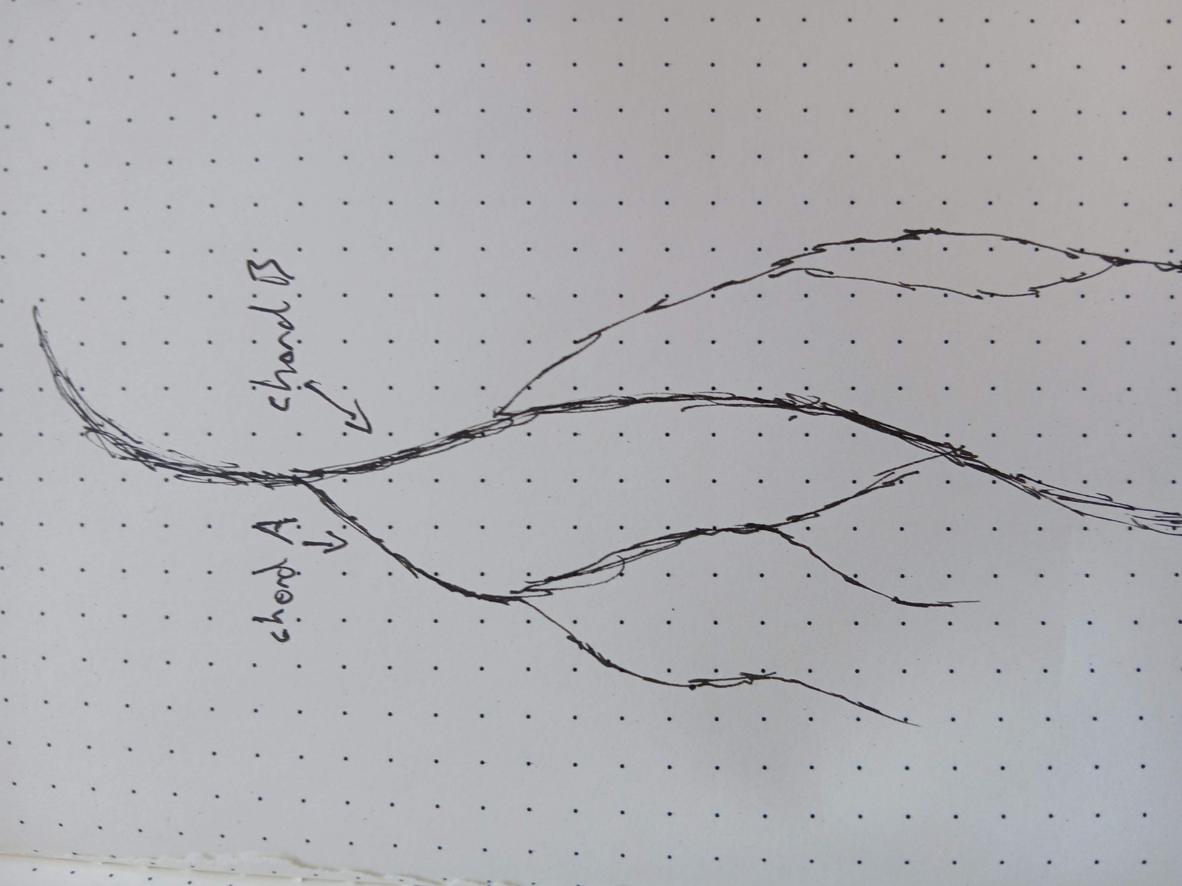 sketch showing lines diverging and reconverging like a river or tributary